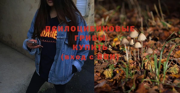 мдпв Киреевск