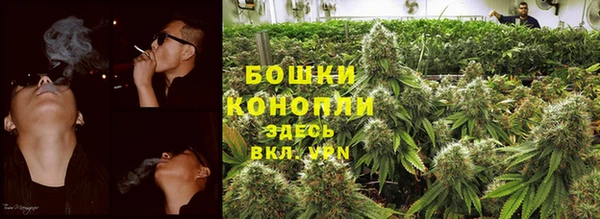 мдпв Киреевск