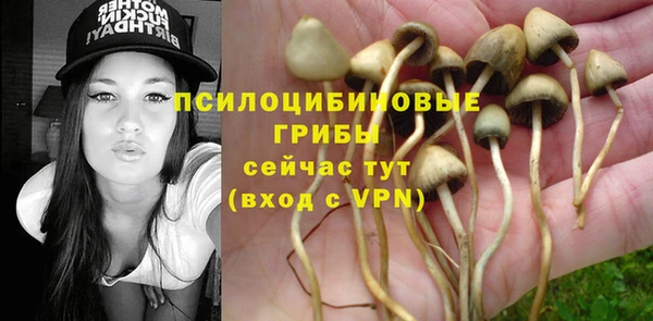 метамфетамин Карпинск