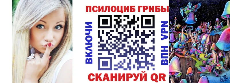 Купить закладки  Волосово  Галлюциногенные грибы мухоморы 